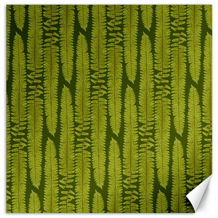 Fern Texture Nature Leaves Canvas 16  x 16 