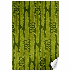 Fern Texture Nature Leaves Canvas 20  X 30 