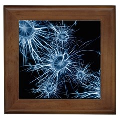 Neurons Brain Cells Structure Framed Tile by anzea