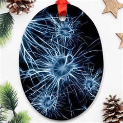 Neurons Brain Cells Structure Ornament (oval)