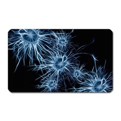 Neurons Brain Cells Structure Magnet (rectangular) by anzea