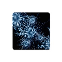 Neurons Brain Cells Structure Square Magnet by anzea