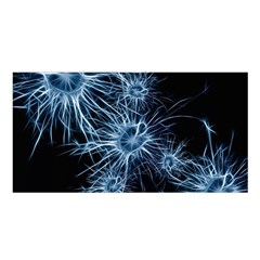 Neurons Brain Cells Structure Satin Shawl 45  X 80  by anzea