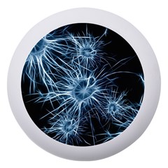 Neurons Brain Cells Structure Dento Box With Mirror