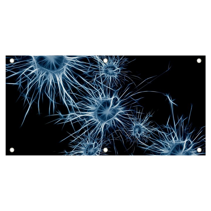 Neurons Brain Cells Structure Banner and Sign 4  x 2 