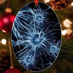 Neurons Brain Cells Structure Uv Print Acrylic Ornament Oval