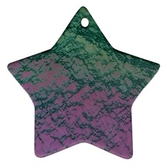 Colorful Duotone Abstract Print Star Ornament (two Sides)