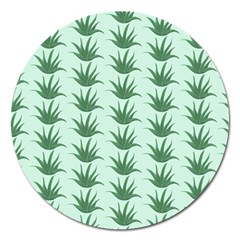 Aloe Plants Pattern Scrapbook Magnet 5  (round) by anzea