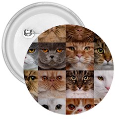 Breeds Of Cats Collage 3  Buttons by kyorashop23