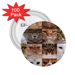 Breeds Of Cats Collage 2 25  Buttons (100 Pack)  by kyorashop23