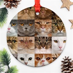 Breeds Of Cats Collage Round Ornament (two Sides)