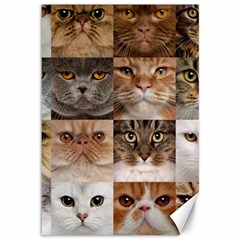 Breeds Of Cats Collage Canvas 12  X 18  by kyorashop23