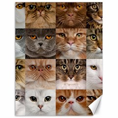 Breeds Of Cats Collage Canvas 18  X 24  by kyorashop23