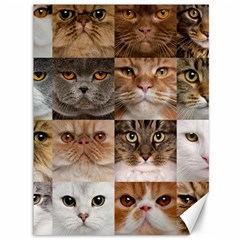 Breeds Of Cats Collage Canvas 36  X 48  by kyorashop23