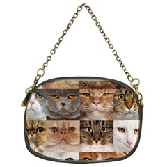 Breeds Of Cats Collage Chain Purse (one Side) by kyorashop23