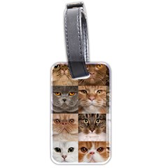 Breeds Of Cats Collage Luggage Tag (two Sides) by kyorashop23