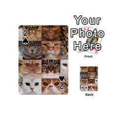 Breeds Of Cats Collage Playing Cards 54 Designs (mini)