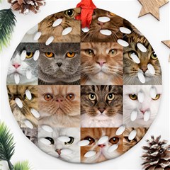 Breeds Of Cats Collage Ornament (round Filigree)