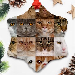 Breeds Of Cats Collage Ornament (snowflake)