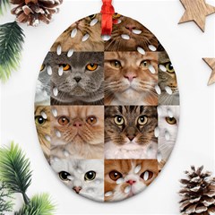 Breeds Of Cats Collage Ornament (oval Filigree)