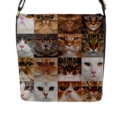 Breeds Of Cats Collage Flap Closure Messenger Bag (l) by kyorashop23