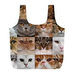 Breeds Of Cats Collage Full Print Recycle Bag (l) by kyorashop23