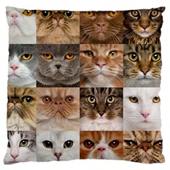 Breeds Of Cats Collage Standard Premium Plush Fleece Cushion Case (two Sides) by kyorashop23