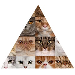 Breeds Of Cats Collage Wooden Puzzle Triangle