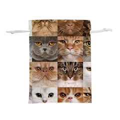 Breeds Of Cats Collage Lightweight Drawstring Pouch (m) by kyorashop23