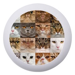 Breeds Of Cats Collage Dento Box With Mirror