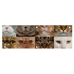 Breeds Of Cats Collage Banner And Sign 6  X 2  by kyorashop23