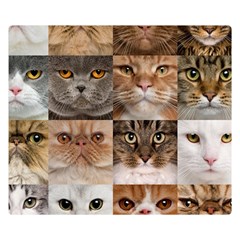 Breeds Of Cats Collage Premium Plush Fleece Blanket (small) by kyorashop23