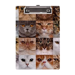 Breeds Of Cats Collage A5 Acrylic Clipboard by kyorashop23