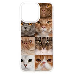 Breeds Of Cats Collage Iphone 15 Pro Max Tpu Uv Print Case by kyorashop23