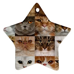 Breeds Of Cats Collage Ornament (star) by kyorashop23