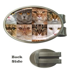 Breeds Of Cats Collage Money Clips (oval)  by kyorashop23