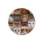 Breeds Of Cats Collage Rubber Coaster (Round) Front