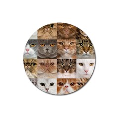 Breeds Of Cats Collage Magnet 3  (round) by kyorashop23