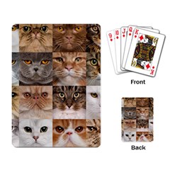 Breeds Of Cats Collage Playing Cards Single Design (rectangle)