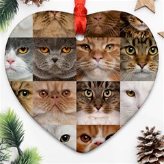 Breeds Of Cats Collage Heart Ornament (two Sides)