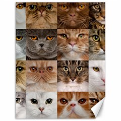 Breeds Of Cats Collage Canvas 12  X 16  by kyorashop23