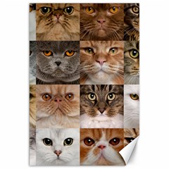 Breeds Of Cats Collage Canvas 20  X 30  by kyorashop23