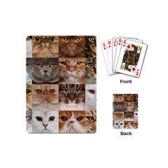 Breeds Of Cats Collage Playing Cards Single Design (mini)