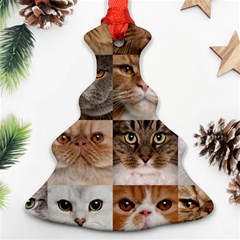 Breeds Of Cats Collage Ornament (christmas Tree) 