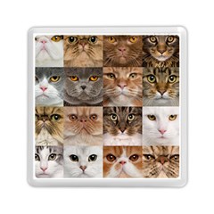 Breeds Of Cats Collage Memory Card Reader (square) by kyorashop23