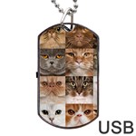 Breeds Of Cats Collage Dog Tag USB Flash (Two Sides) Front