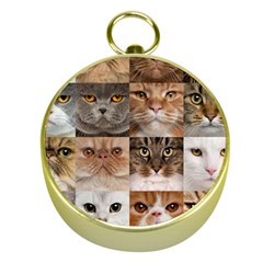 Breeds Of Cats Collage Gold Compasses by kyorashop23