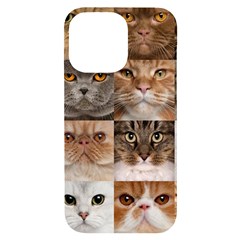 Breeds Of Cats Collage Iphone 14 Pro Max Black Uv Print Case by kyorashop23