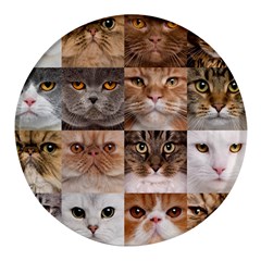 Breeds Of Cats Collage Round Glass Fridge Magnet (4 Pack) by kyorashop23