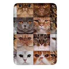 Breeds Of Cats Collage Rectangular Glass Fridge Magnet (4 Pack) by kyorashop23